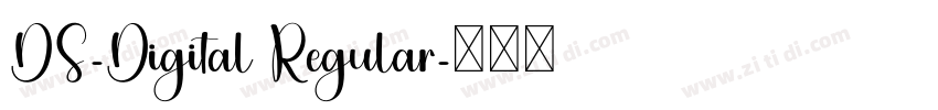 DS-Digital Regular字体转换